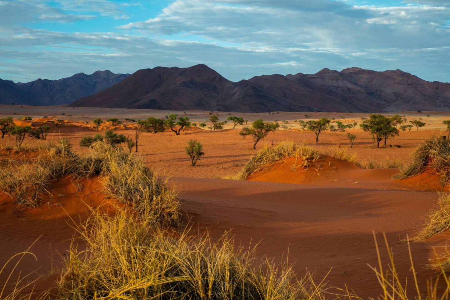 Traumreise nach Namibia
